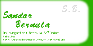 sandor bernula business card